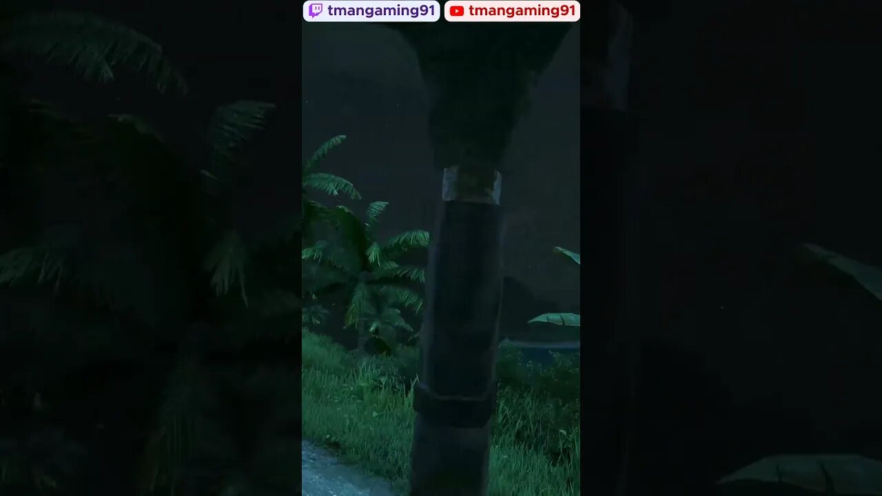 Wasn't Paying Attention