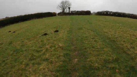 Finding a pitch at Reddacleeve farm campsite. Dartmoor. 20th March 2023 part 6