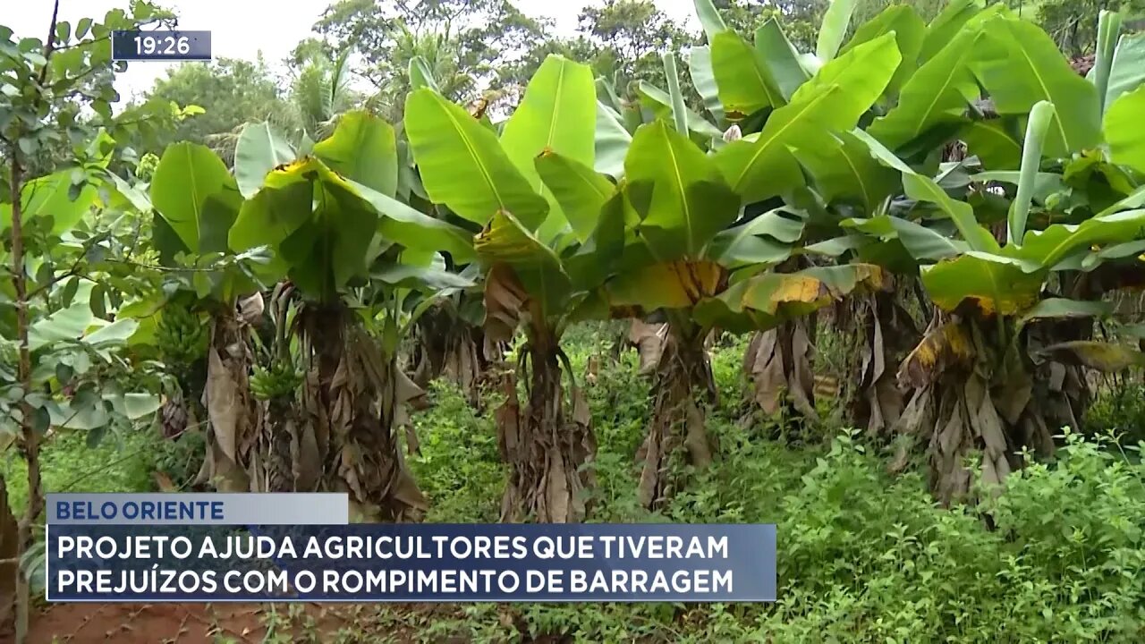 Belo Oriente: Projeto Ajuda Agricultores que Tiveram Prejuízos com o Rompimento de Barragem.