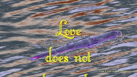Love Does Not Lie Simply to Please the Wicked