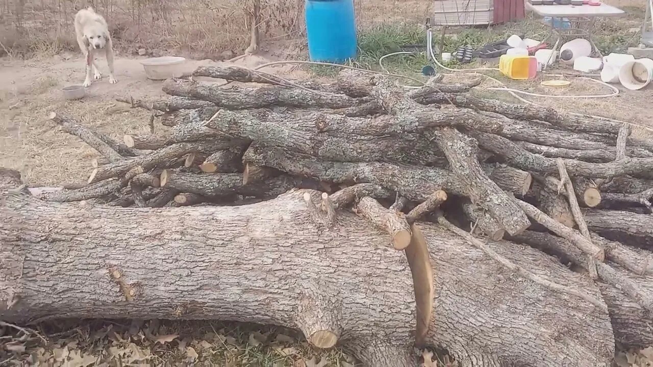 I may have Harvested a Gate Post