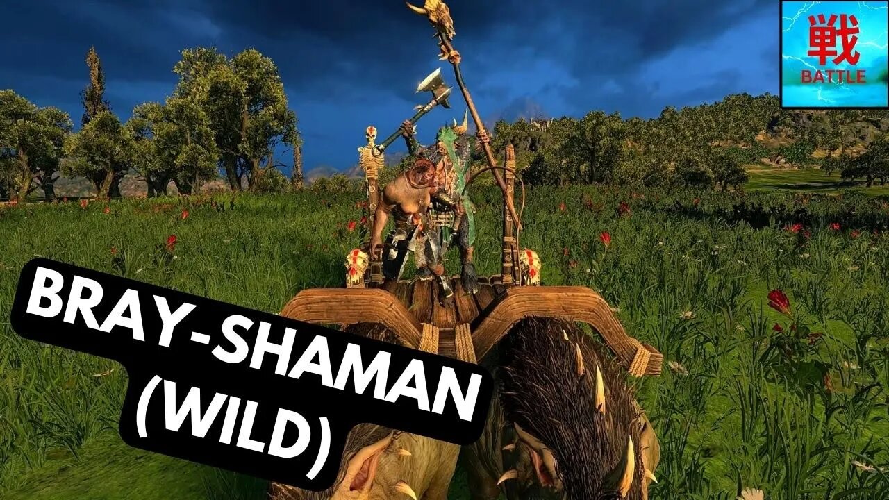 Are Bray-Shamans (Wild) Any Good? - Beastmen Hero Unit Focus