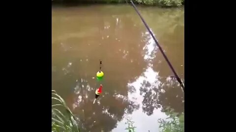 Take it, take it.... Part 2