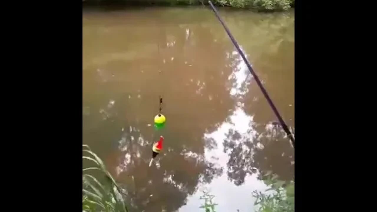 Take it, take it.... Part 2