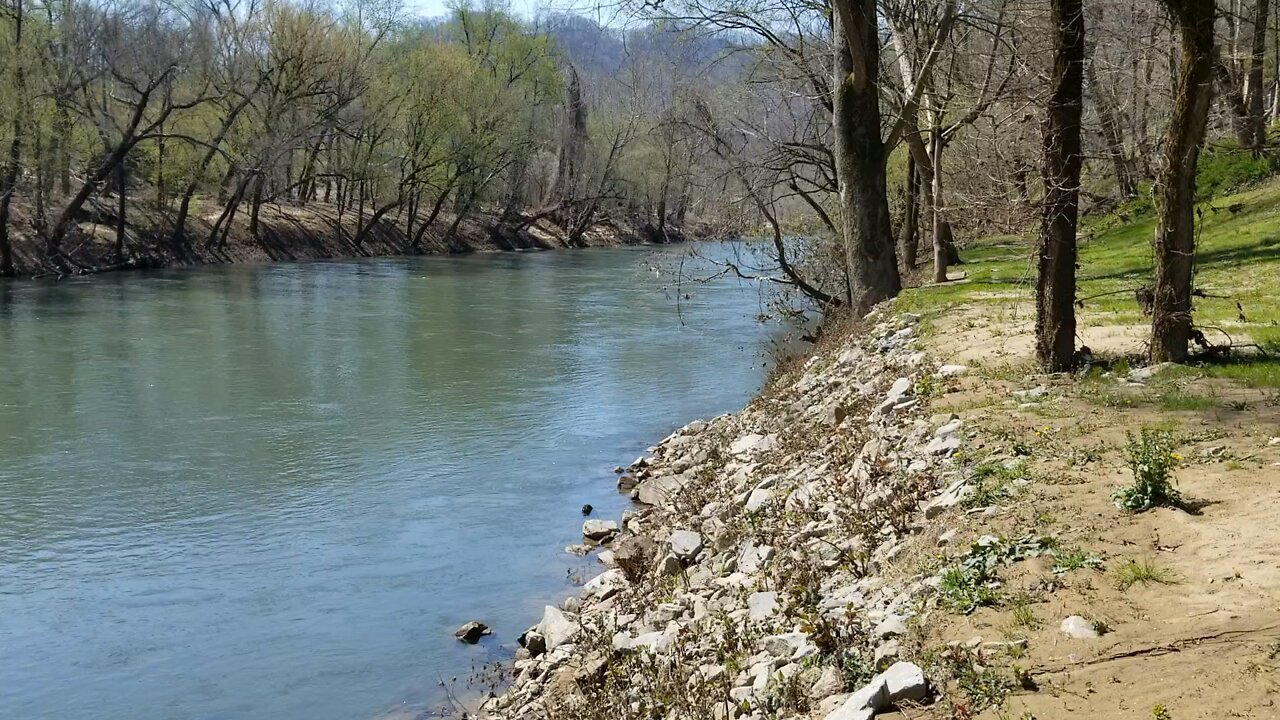 Hatfield & McCoy Paw Paw Tree killing Site April 2021