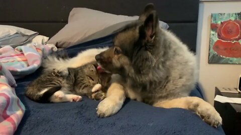 Love One Another