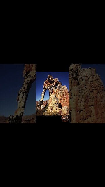 What is Bio Geology #short with Stellium 7