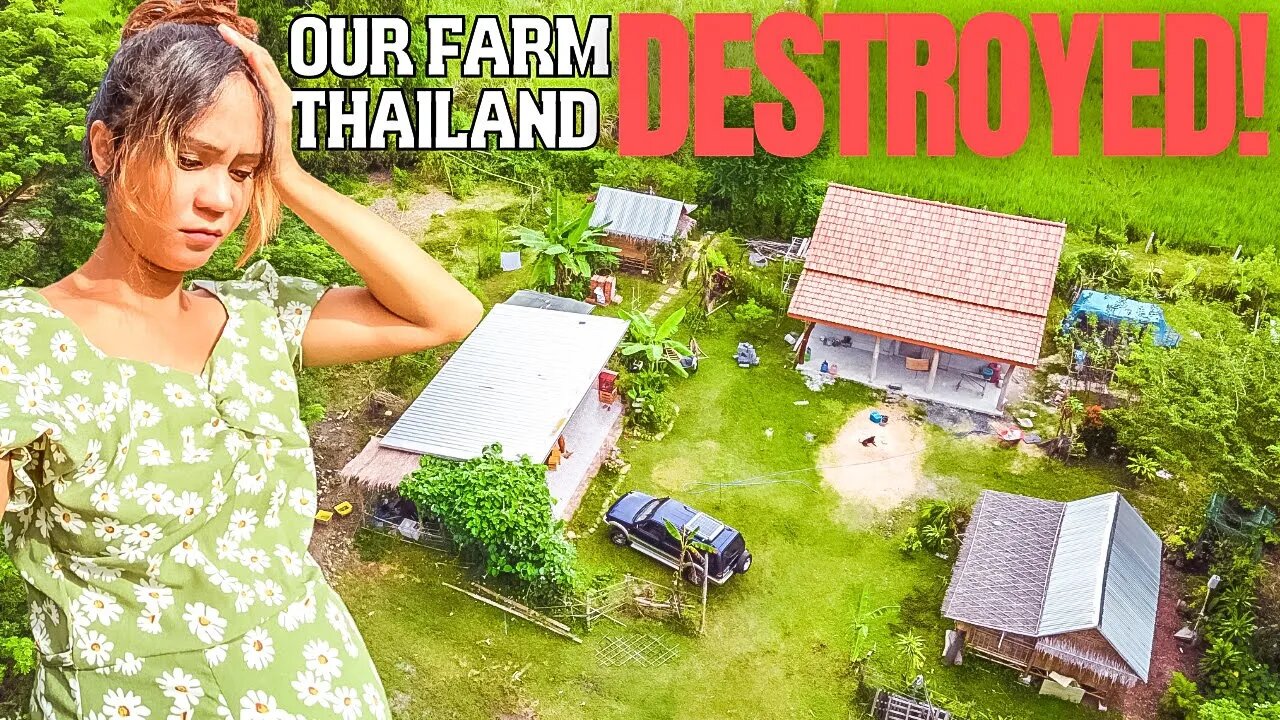 Our THAILAND Farm DESTROYED... Again!