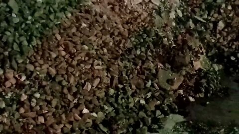 doing the sidewalks and roadway over on Ring Road