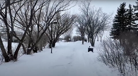 Walking in Regina, March 6, 2024: An afternoon walk along the creek