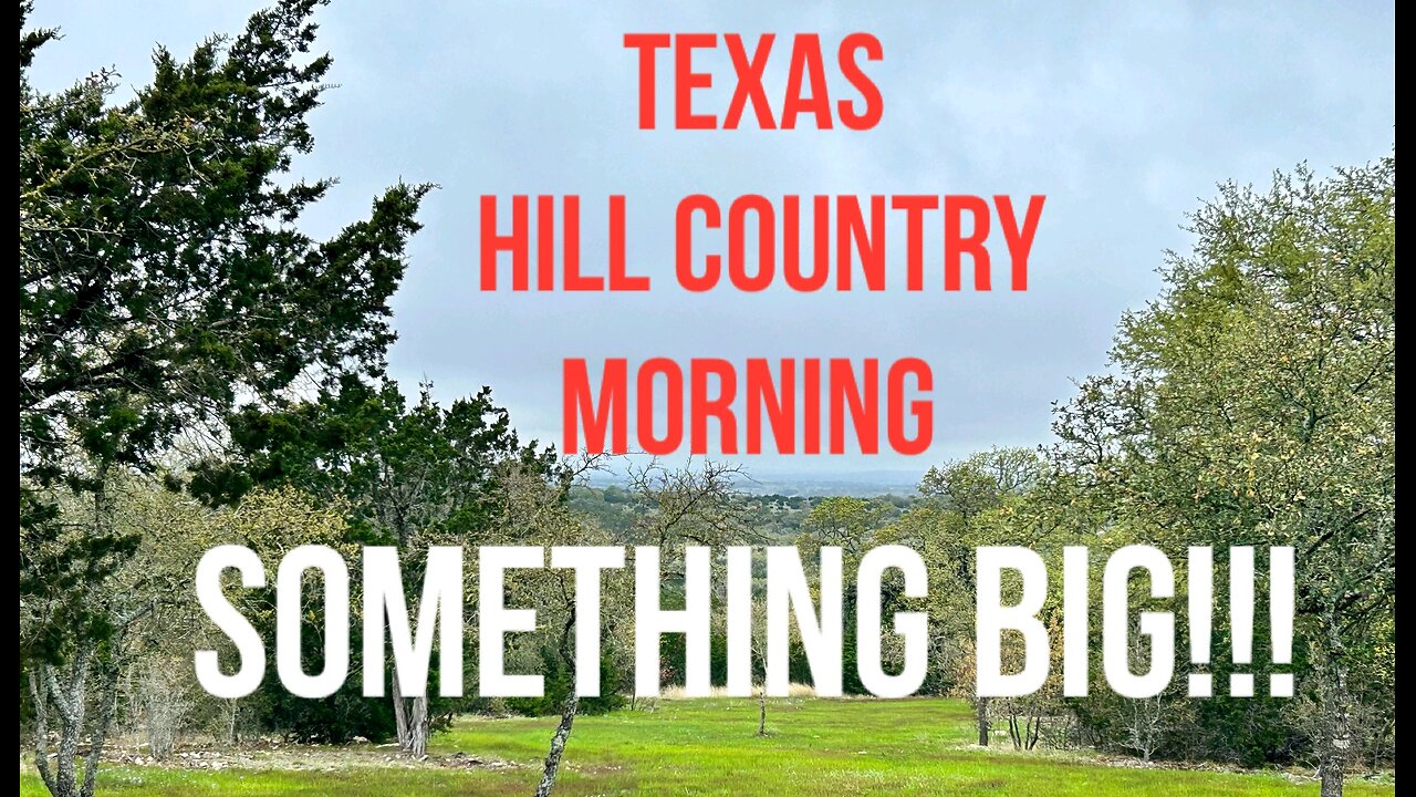 Texas Hill Country Morning SOMETHING BIG!!!