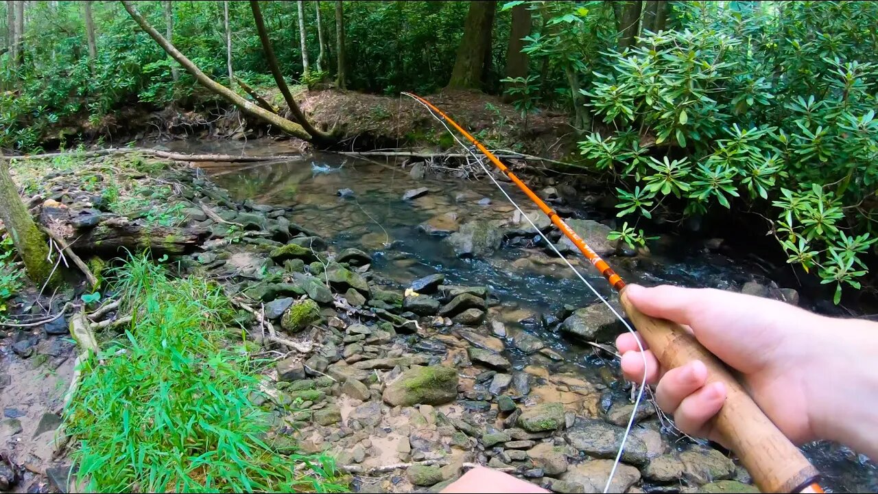 Micro Creek Fishing for Trout! (NEW PB!)