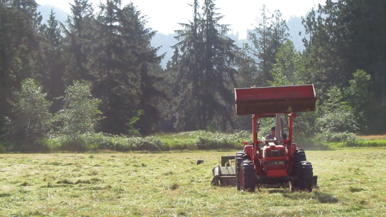 Cutting Hay