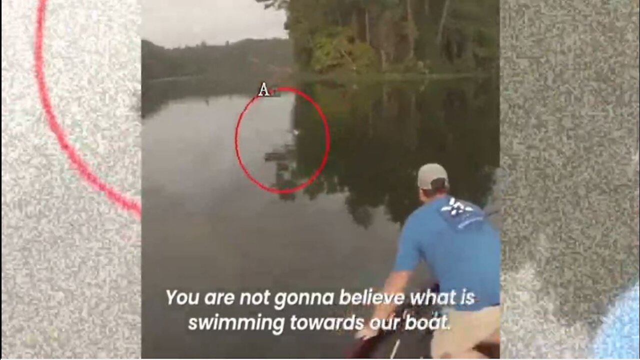 A Hero Rescue An Abandoned Kitten Drowning in The River