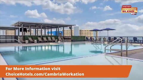 Cambria Hotels | Morning Blend