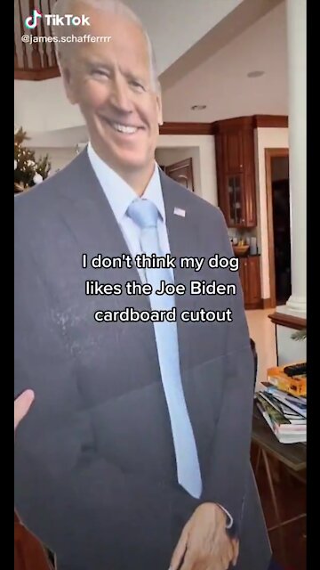 Dog Proves Animals Can Sense Evil