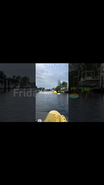 Long weekend Vibes 😁🌴🏝️