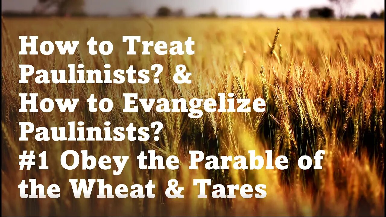 How to Treat Paulinist Tares. How to Evangelize Paulinists. #1