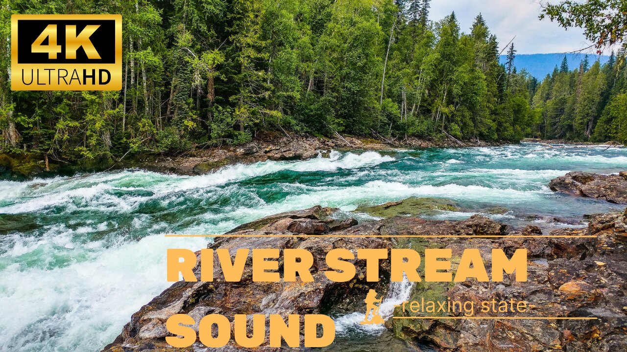 4K Forest Stream Relaxing River Sounds 3 Hours Long