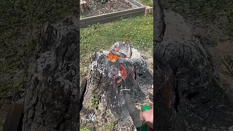 Volcano Stump!