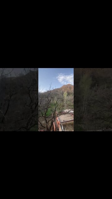 le calme loin du bruit