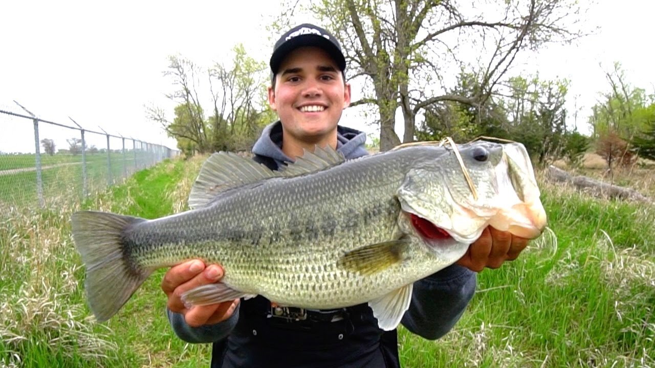 Catching GIANT Bass on Jigs - Spring Bass Fishing