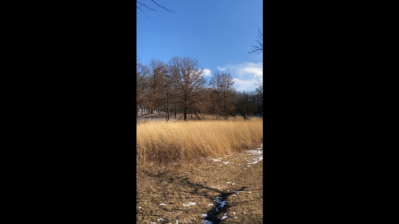 Windy Hike w/ Enzo