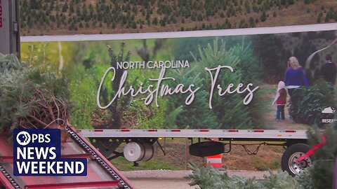 How a Christmas tree farm in North Carolina overcame Hurricane Helene’s destruction