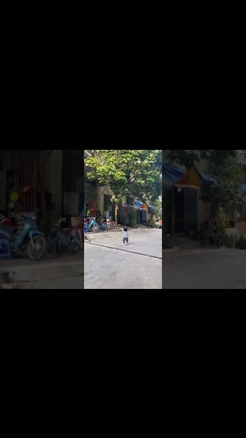 curious baby when the chicken is standing on a tall tree, a funny video