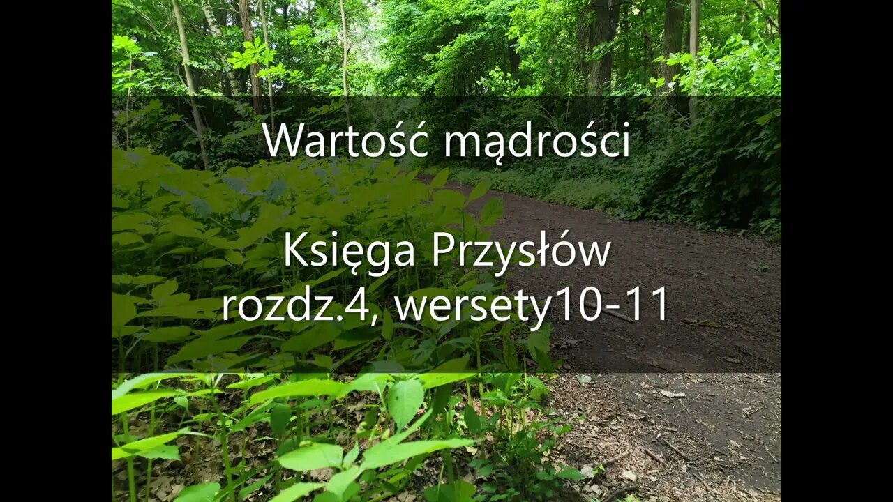 Wartość mądrości Księga Przysłów , rozdz.4, wersety10-11