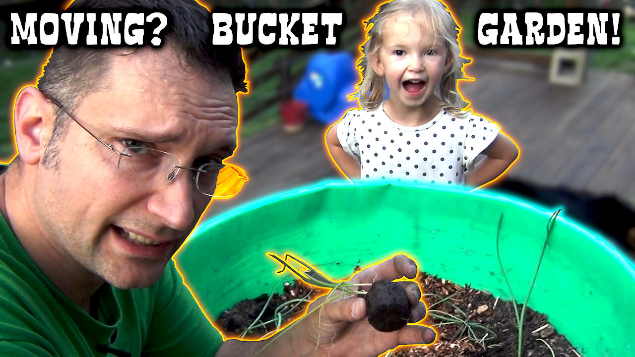 Moving Soon? Then Planet A Bucket Garden For Vegetables. Mineral Buckets Work Great!