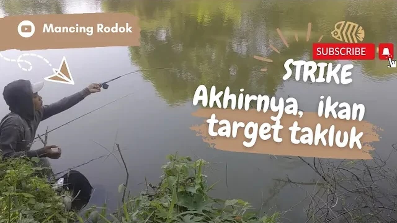 Mancing ikan Nilem full monster di spot bekas galian pasir pakai umpan racikan ini selalu strike