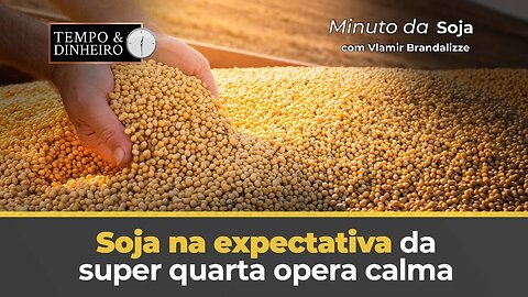 Soja na expectativa da super quarta opera calma