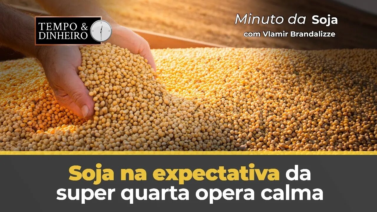 Soja na expectativa da super quarta opera calma