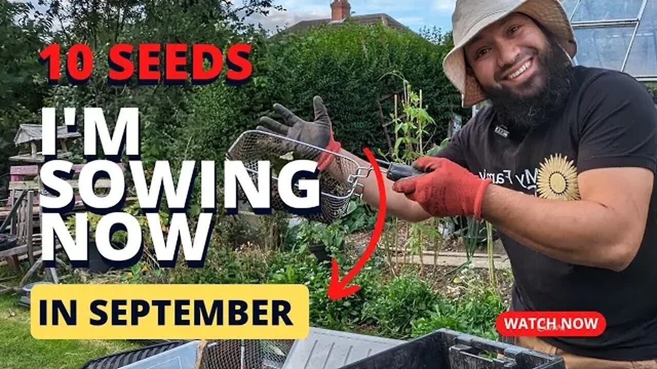 Vegetable Seeds To Sow In September - Seeds I'm Sowing Now