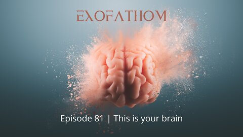 Exofathom 81 | This is your brain