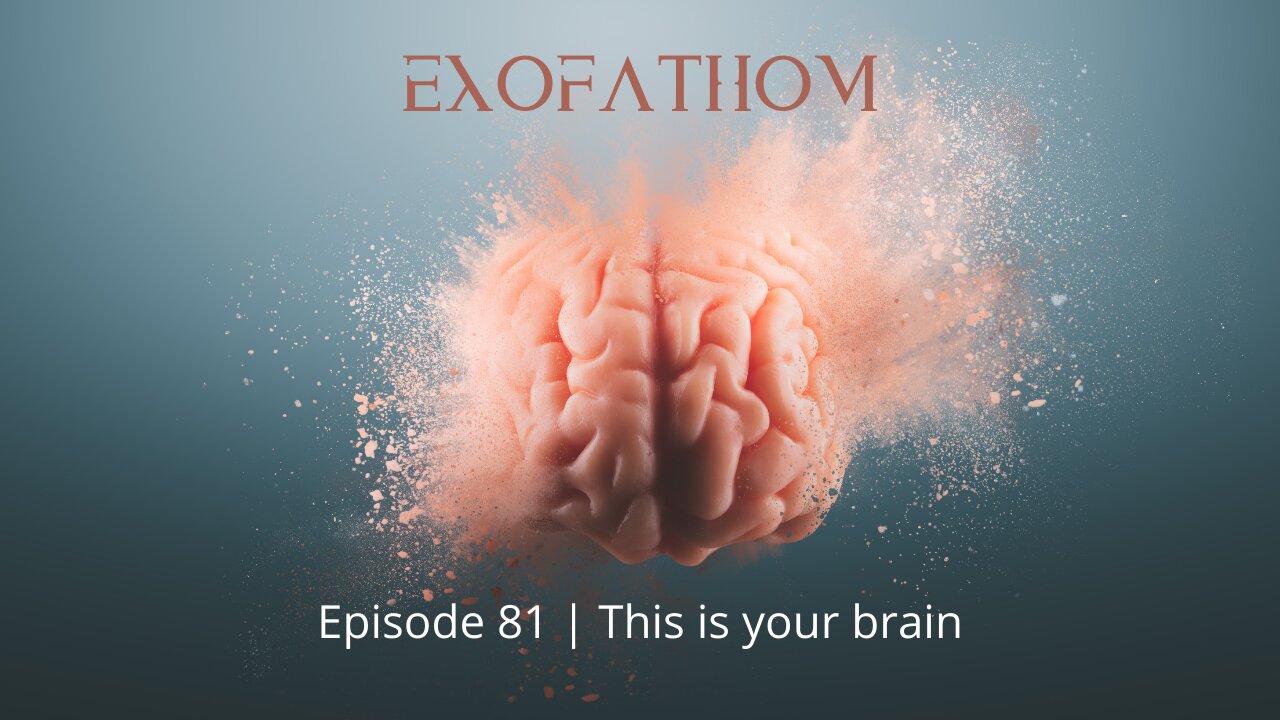 Exofathom 81 | This is your brain