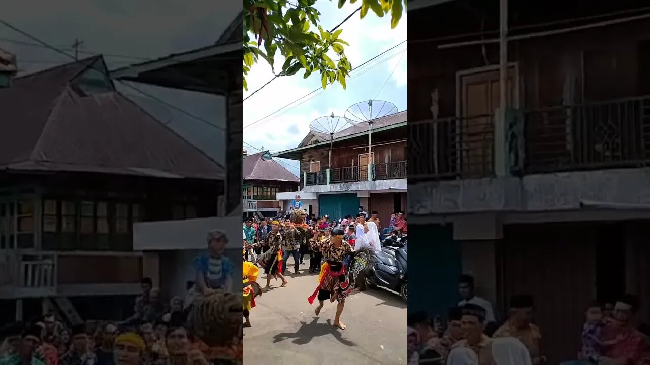 Reog Ponorogo Untuk Arak arakan Pengantin Jawa / Kuda Lumping #short #shorts #shortvideo