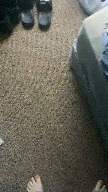 Angry rabbits be like