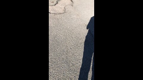 when you go for coffee to Greggs in Wales : massive potholes (might damage your car)