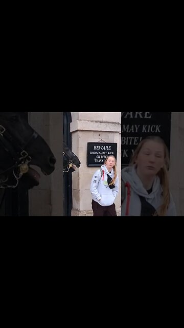 Face to face gets scared #horseguardsparade