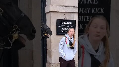 Face to face gets scared #horseguardsparade