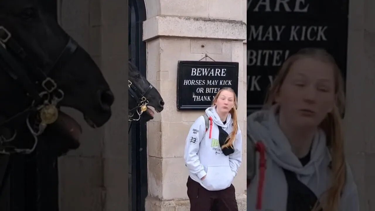 Face to face gets scared #horseguardsparade