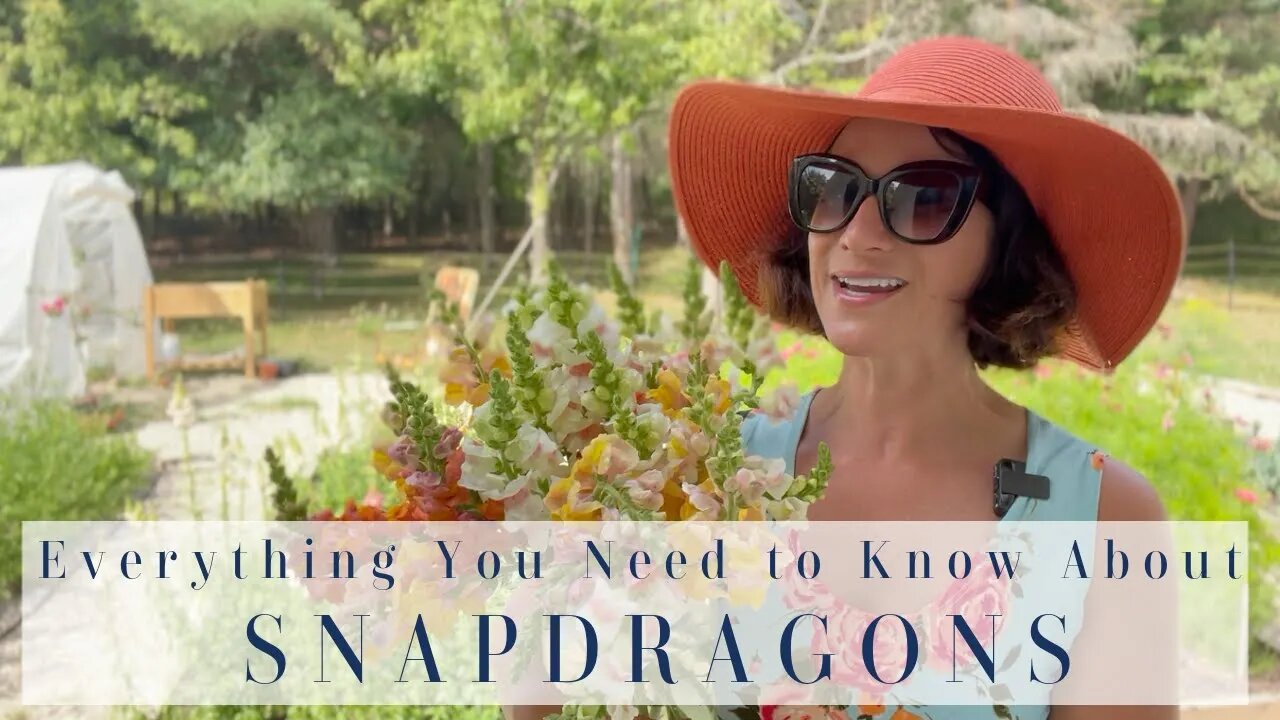 EVERYthing You Need to Know About SNAPDRAGONS | 💐 My NEW Cutting Garden 💐