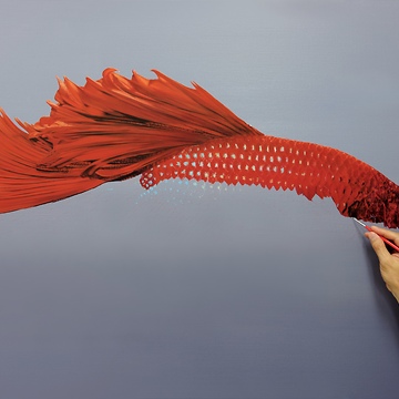 Progress of Bettafish Oil Painting