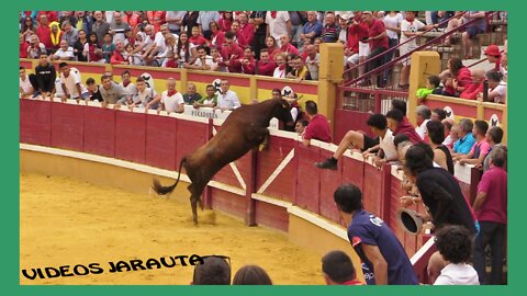 TUDELA ( NAVARRA ) MATINAL 5º ENCIERRO VACAS PLAZA ( VIERNES 29 JULIO 2022 ) J.J.LAPARTE