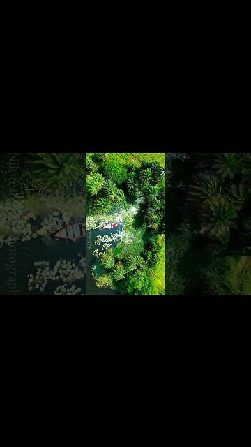 I am a Photographer #wedding #prewedding