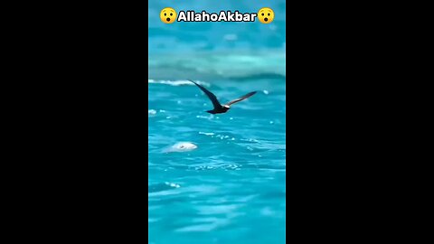 Subhan Allah