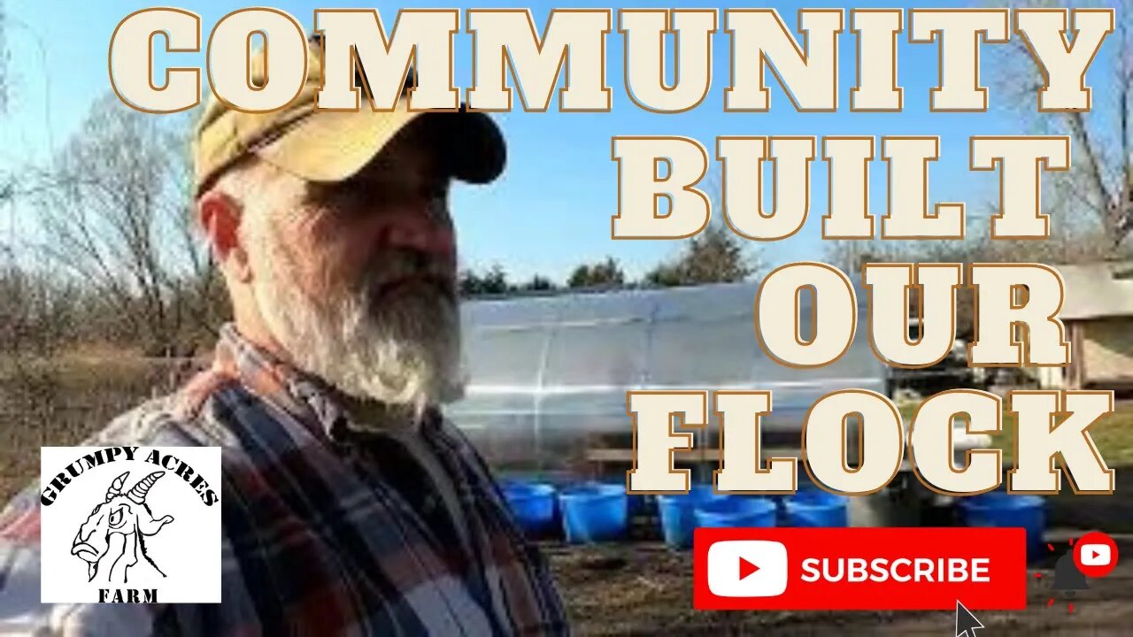 Community Built Our Chicken Flock