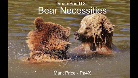 DreamPondTX/Mark Price - Bear Necessities (Pa4X at the Pond)